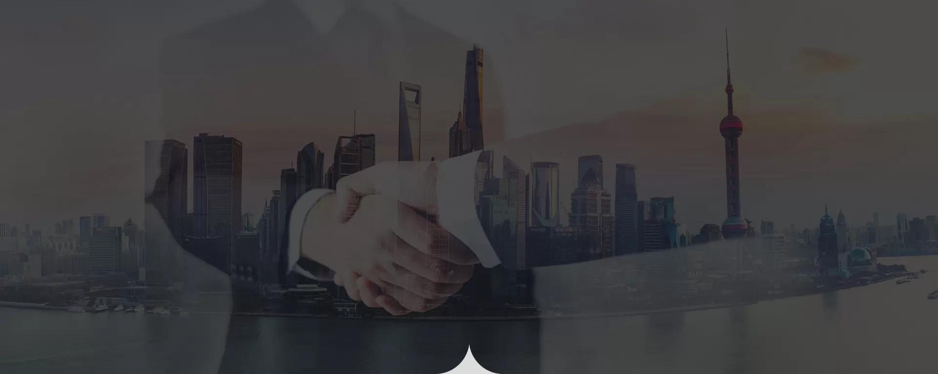 Contact Us for Futher Cooperation
